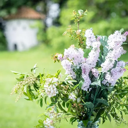 Heart At Sea - * De Haan