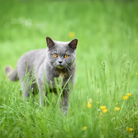 Heart At Sea - Vakantiehuis