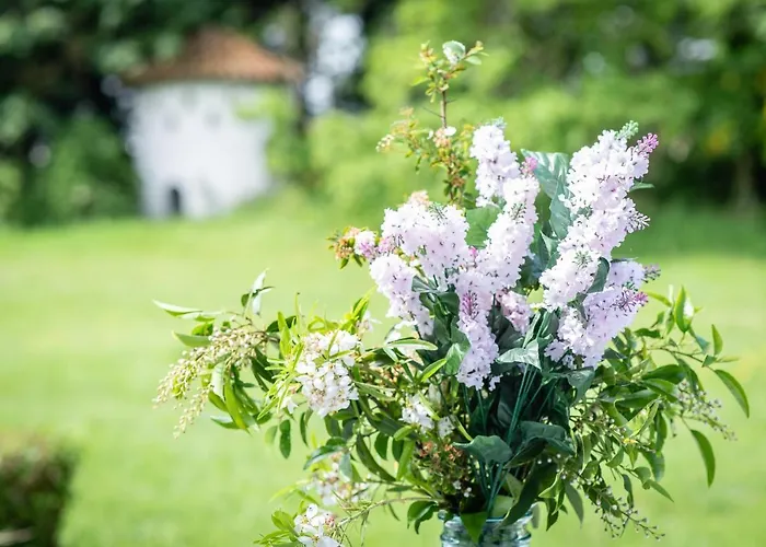 Heart At Sea - * De Haan